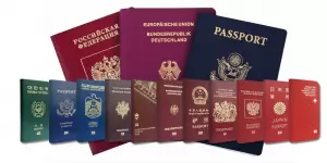 Фотография PerevodVip 4